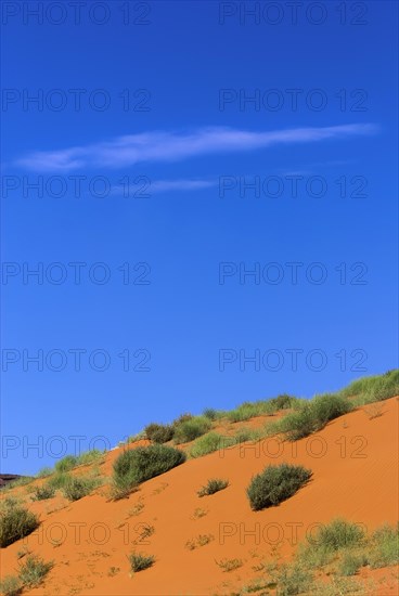 Orange-coloured dune landscape in Monument valley