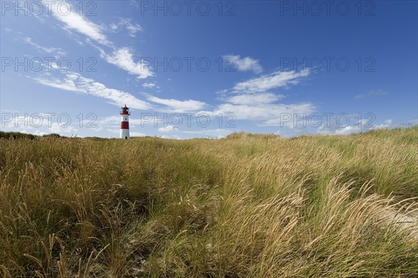 Lighthouse with blue sky at Ellenbogen