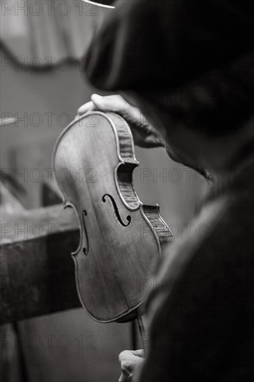 Senior expert violin maker luthier