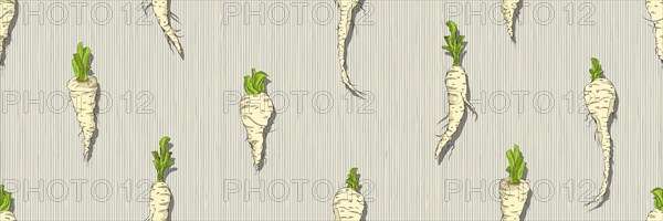 Hand drawn Parsnip seamless pattern