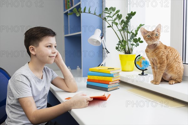 Boy reading looking cat