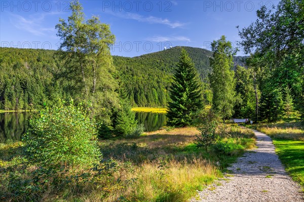 Hiking trail in the nature reserve Kleiner Arbersee with Grosser Arber 1456m