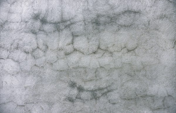 Cracked cement wall background. Textured and cracked wall. Textured old wall background. Texture of a gray wall. Old wall with cracked texture