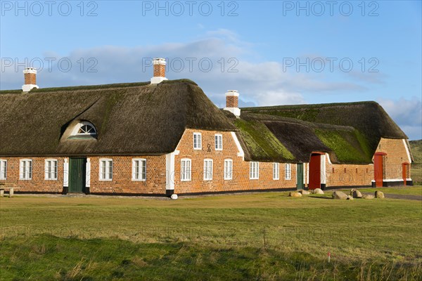 Historic farm in the dunes by Tim's car park