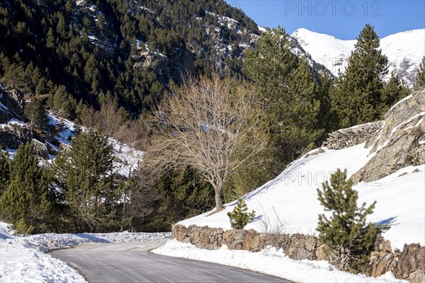 Road in the snowy mountains of the Pyrenees in Andorra during winter