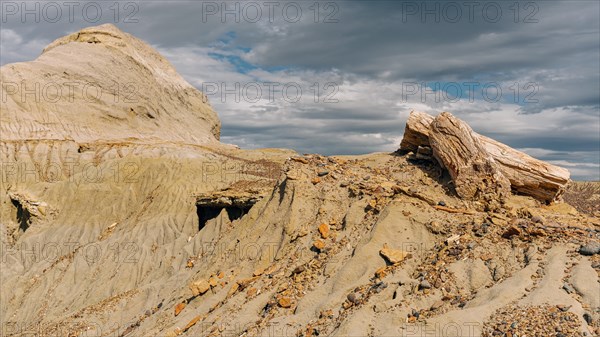 Petrified Forest Sarmiento