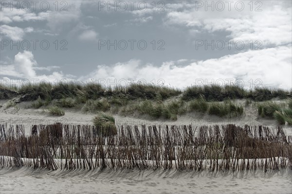 Dune landscape at Ellenbogen