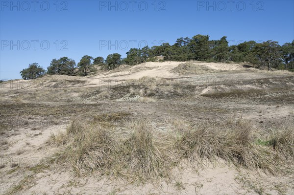 Inland dunes