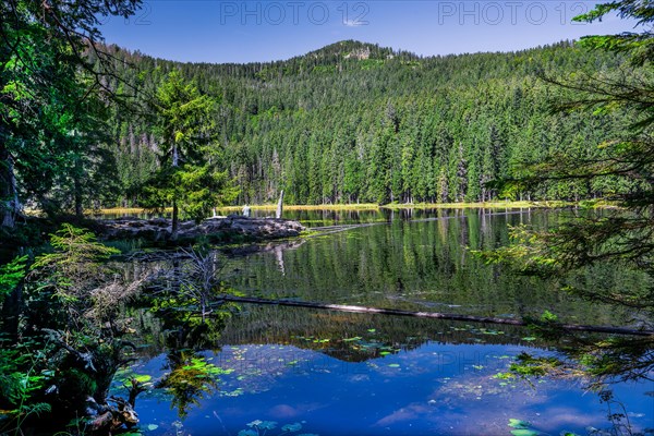 Nature reserve Grosser Arbersee with Grosser Arber 1456m. Bayerisch-Eisenstein