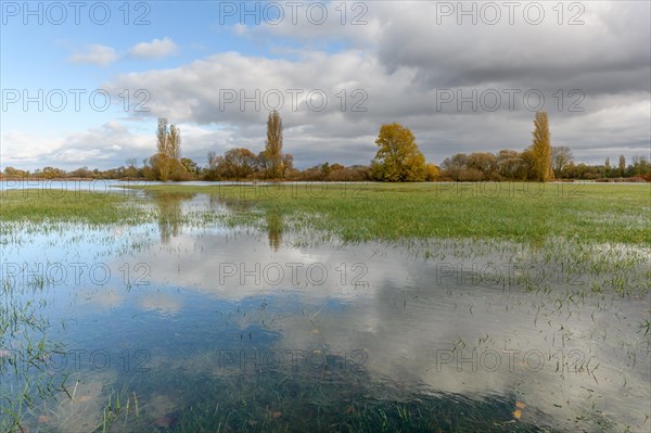 Flooded meadow after heavy rains. Autumn landscape. Bas-Rhin