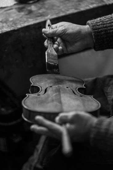 Senior expert violin maker luthier