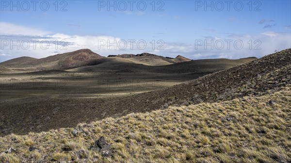 Patagonian steppe