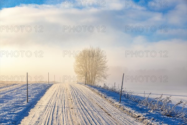 Slippery winter country road in the countryside with fog and snow