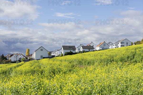 Modern apartment blocks