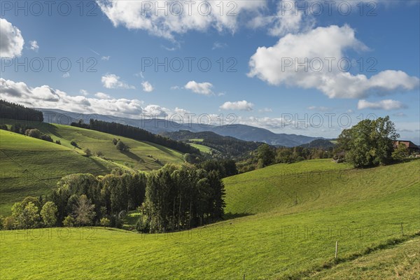 Hilly landscape in the southern Black Forest near St. Maergen