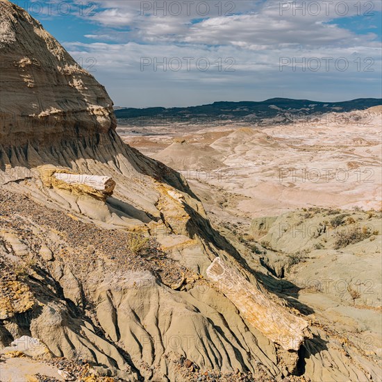 Petrified Forest Sarmiento