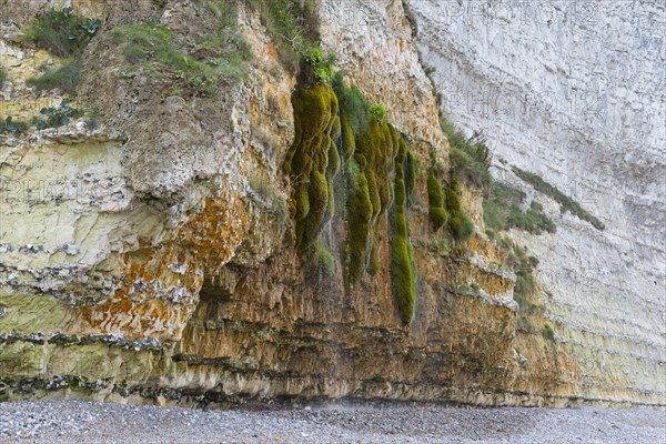 The weeping rock