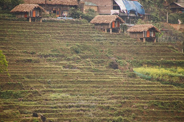 Native traditional Hmong house in the rice terraces showing the authentic indigenous culture and daily life in Lao Chai Village
