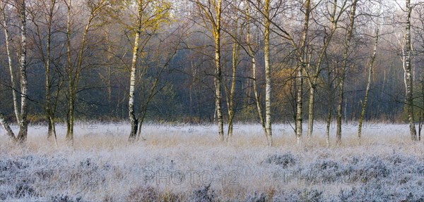 Landscape in the Elmpter Schwalmbruch