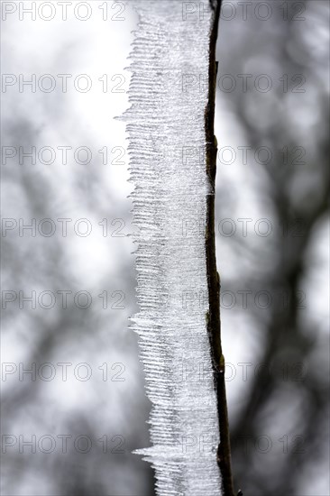 Hoarfrost