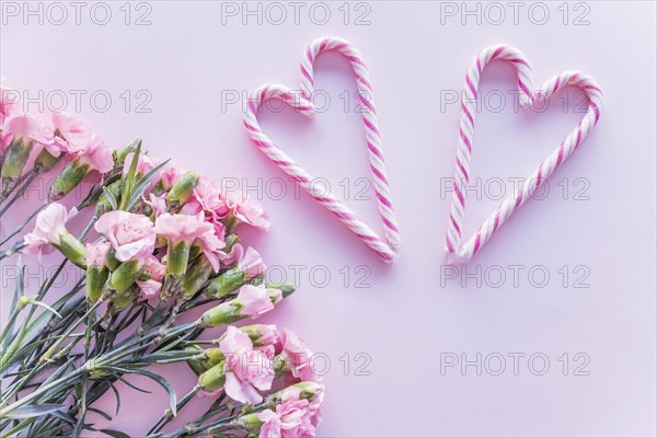 Candy canes heart shape with flowers