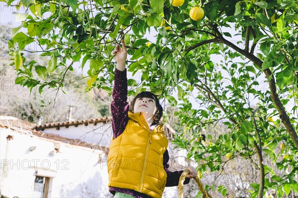 Girl lemon tree