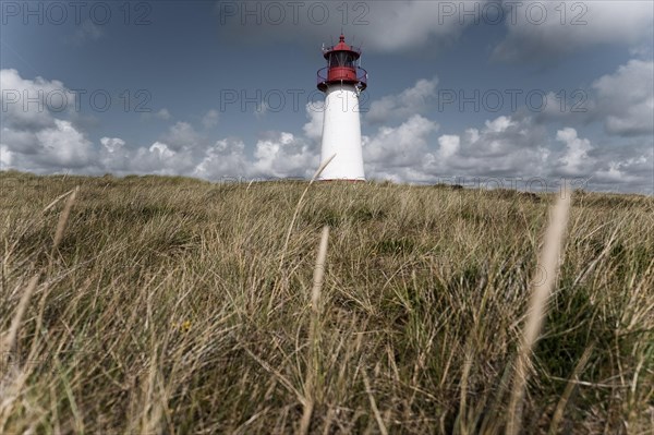 Lighthouse at Ellenbogen