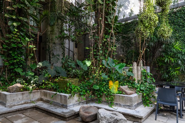 Green courtyard in a hotel