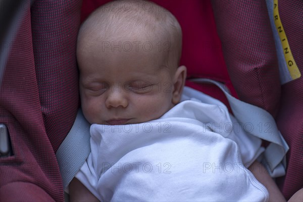 Baby in baby carrier