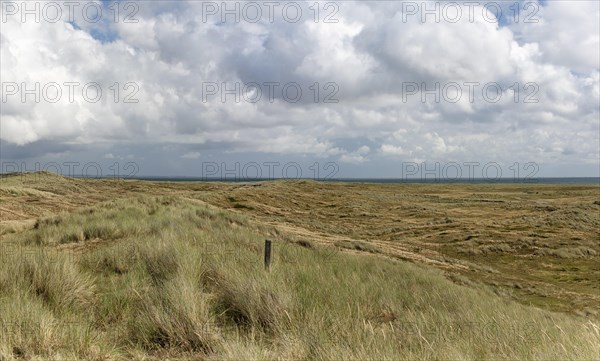 Dune landscape at Ellenbogen