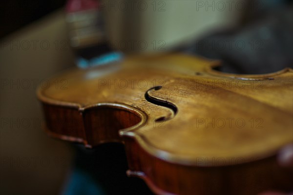 Senior expert violin maker luthier