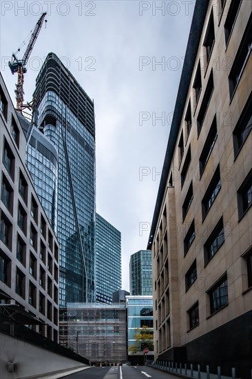 Cityscape on the Main with the skyline in the evening