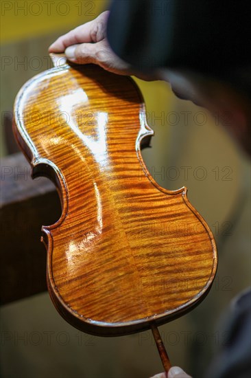 Violin maker luthier varnish classic handmade violin paint natural ingredient recipe in Cremona Italy home of best artisan of this kind