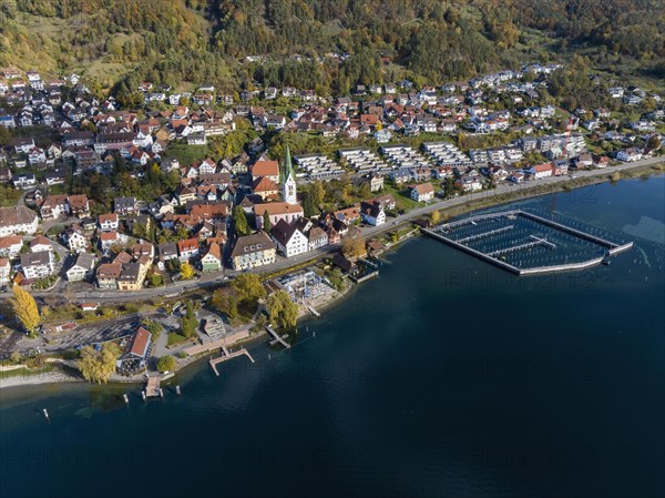 Aerial view of the village of Sipplingen on Lake Constance with autumn vegetation