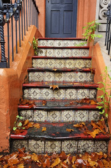 Old staircase with tiles and foliage