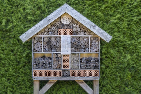 Insect hotel in front of a