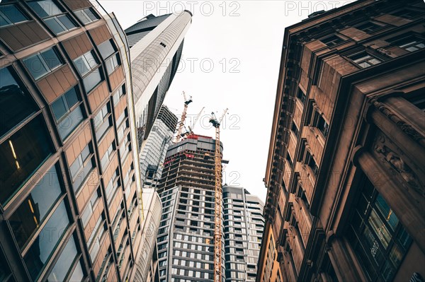 Cityscape on the Main with the skyline in the evening