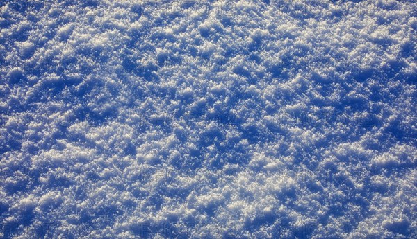 Snow cover with ice crystals on a snow-covered meadow