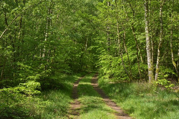 Hiking trail