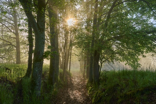 Hiking trail