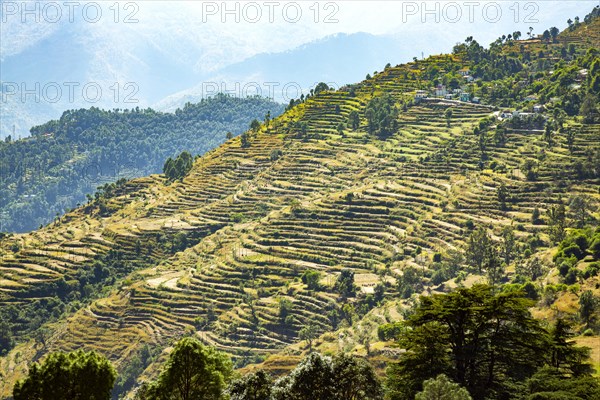 Top view of Ladholi village in the indian state of Uttarakhand