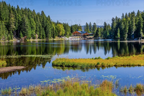 Nature reserve Grosser Arbersee with Arberseehaus