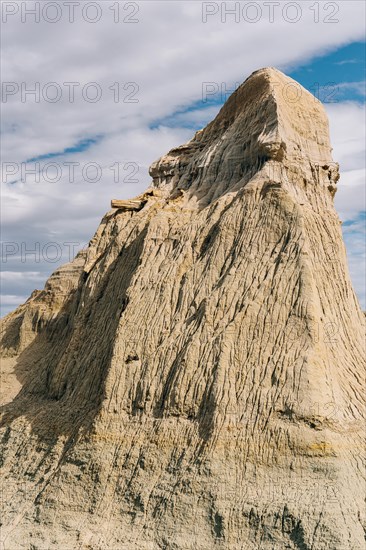 Petrified Forest Sarmiento