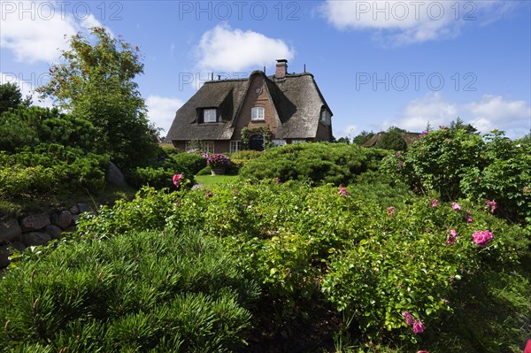 Thatched houses