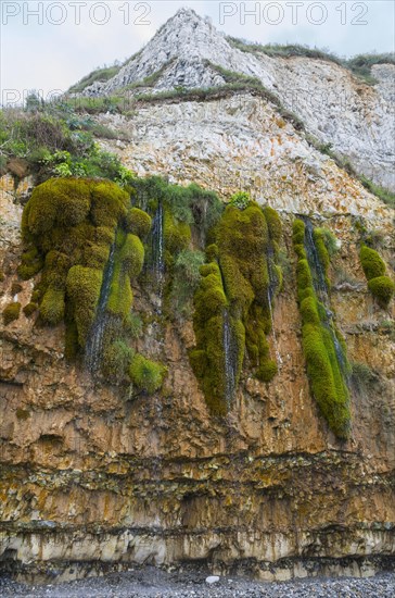 The weeping rock