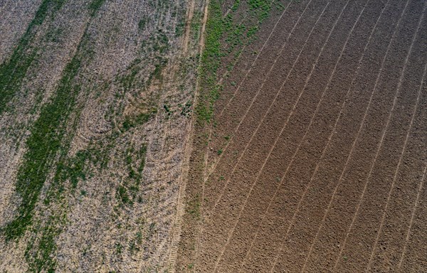 Drone view of harvested fields