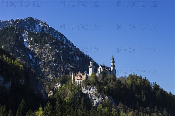 Neuschwanstein Castle