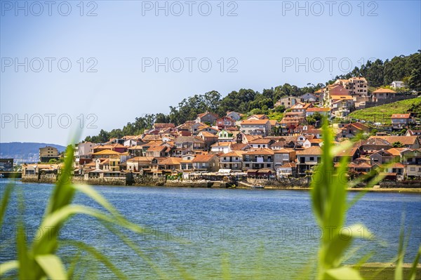 Beautiful city ocean landscape