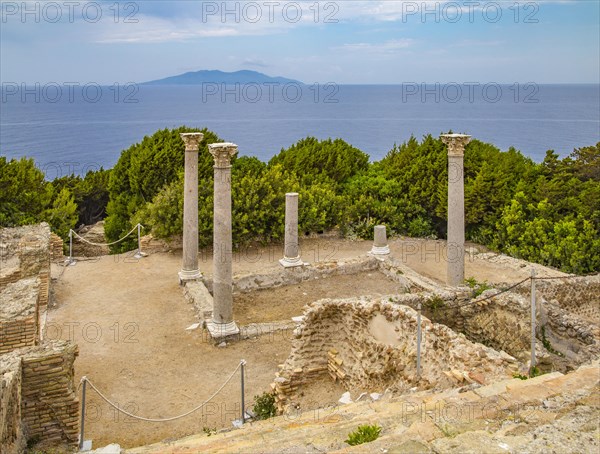 Antique Villa Romana with view of Giglio Island