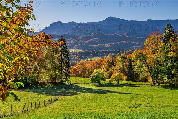 Autumn landscape near Hagen with Herzogstand 1731m and Heimgarten 1791m